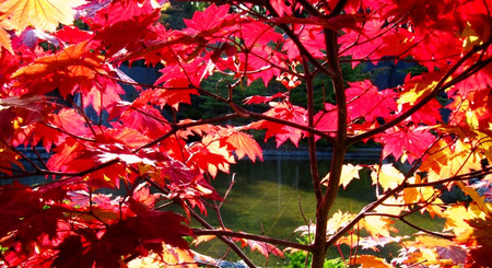 2011-9-28滝野すずらん公園 041.jpg